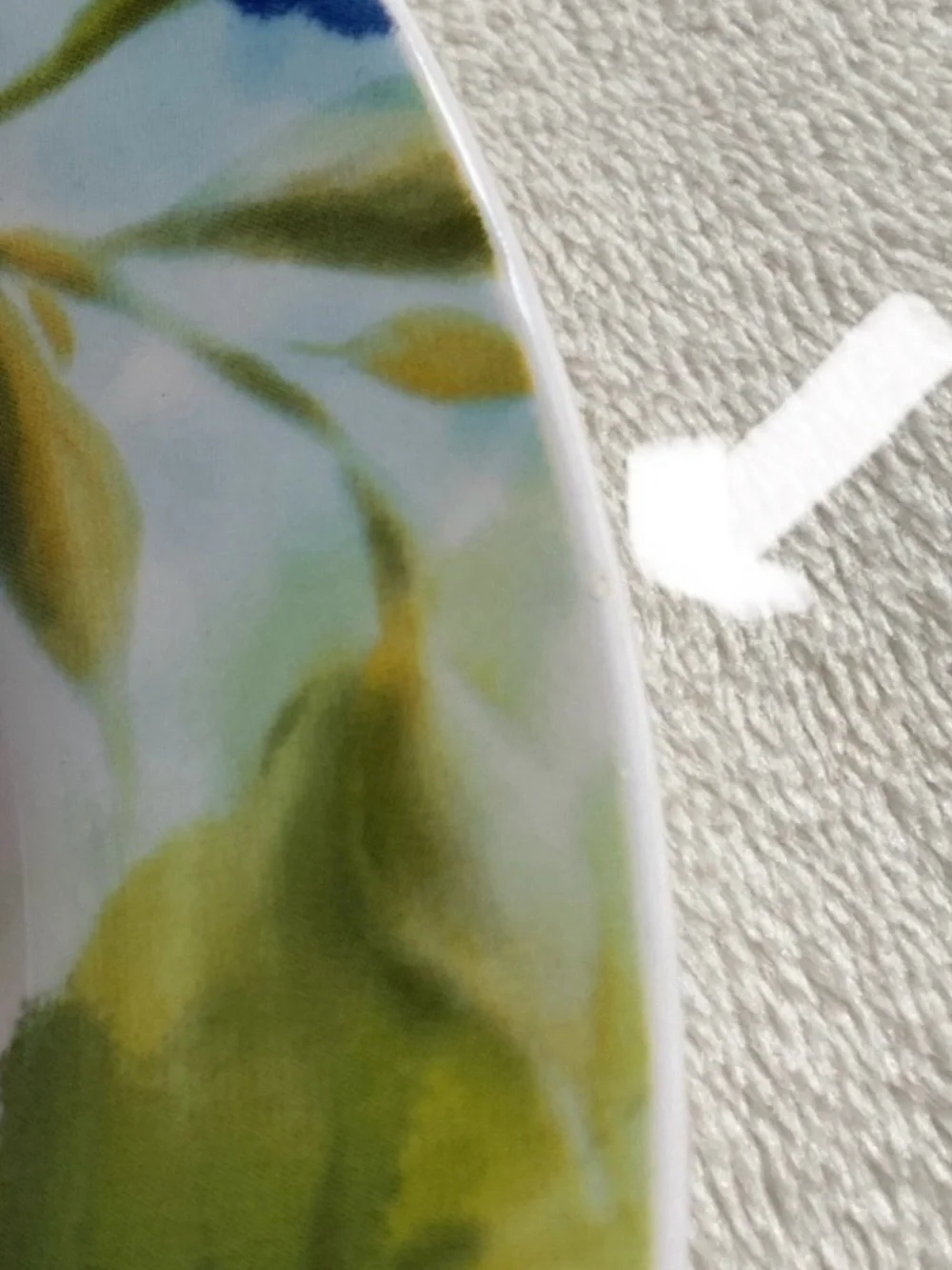 Pier 1 Amelia Set of 2 Salad Plates 8.75” Ironstone Floral Garden Dinnerware